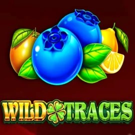 Wild Traces slot logo by Amusnet Interactive at Spinbara Casino